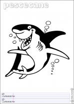 coloriage-requin-1